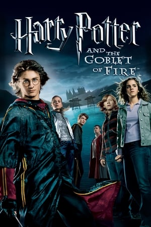 Fire & Ice (2008) Hindi Dual Audio [1.1GB] HD Poster Download - filmyfly