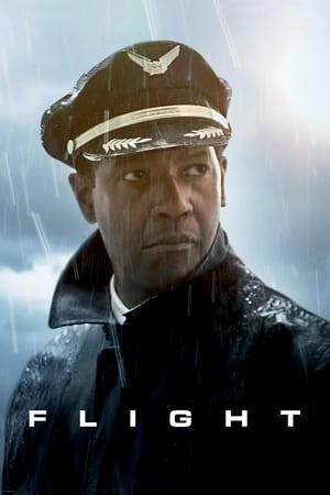 Flight (2012) Hindi Dual Audio 400MB HD Poster Download - filmyfly