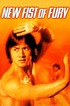 New Fists of Fury 1976 Dual Audio Hindi Full Movie - 1.4GB HD Poster Download - filmyfly