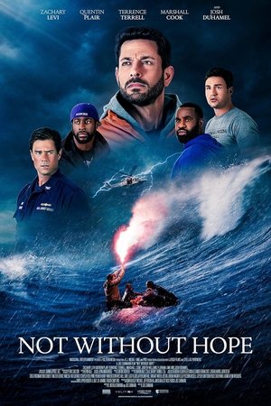 Not Without Hope (2025) Hindi (MULTI AUDIO) – –