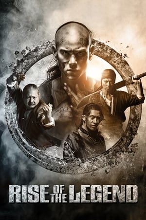 Rise of the Legend 2014 Hindi Dual Audio [1.1GB] HD Poster Download - filmyfly