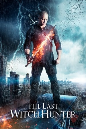 The Last Witch Hunter (2015) Hindi Dual Audio 300MB HD Poster Download - filmyfly