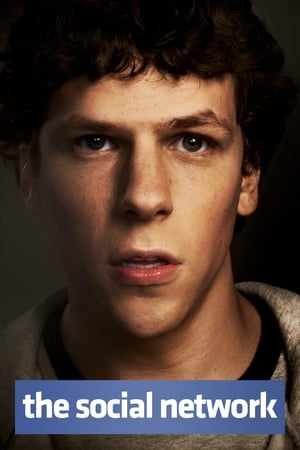 The Social Network 2010 Hindi Dual Audio 400MB HD Poster Download - filmyfly